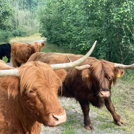 Ferienwohnung Heeser Birkenhof - Urlaub auf dem Bauernhof mit Blick ins Grüne Weeze Exterior foto